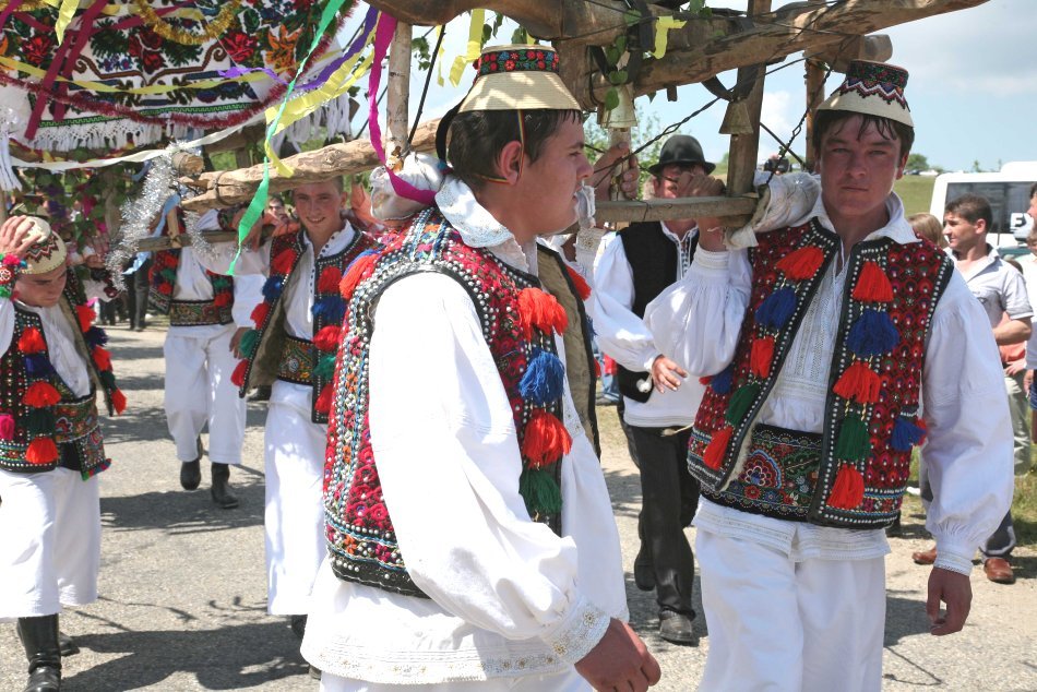 tanjaua-1-ghita-porumb