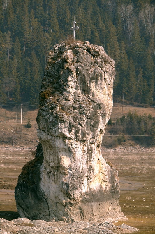 33586-mediafax-foto-adrian-stoicoviciu