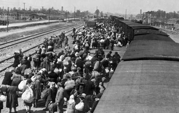 sosirea-in-lagare_86431200