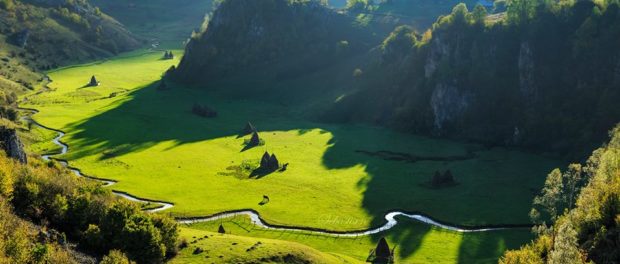 12108847_874880575937278_980652014642756915_n-620x264