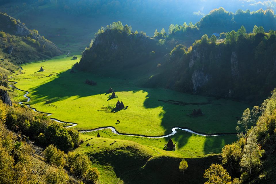 12108847_874880575937278_980652014642756915_n